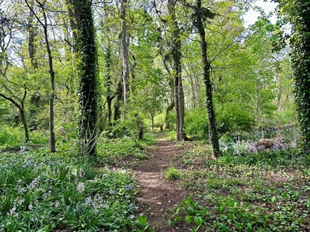 Falmouth Cape Cod vacation rental - Private trail to Goodwill Park :)