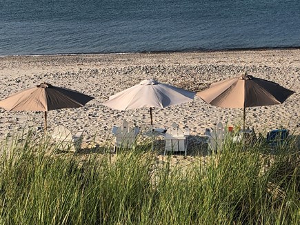East Sandwich Cape Cod vacation rental - A Cape classic cottage nestled in the dues of Spring Hill beach