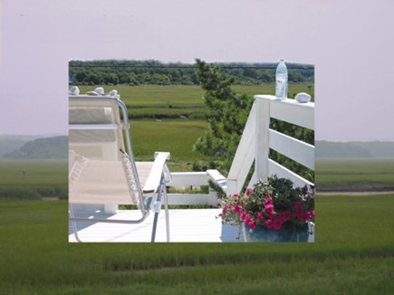 East Sandwich Cape Cod vacation rental - View the great salt marsh with egrets, heron and ospray