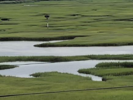 East Sandwich Cape Cod vacation rental - Often guests find the verdant marsh as beautiful as the bay