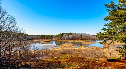 Wellfleet Cape Cod vacation rental - High tide view from the deck. Beautiful nature.