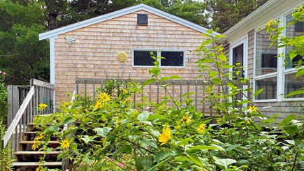 Wellfleet Cape Cod vacation rental - Mature plantings and lovely in-season flowers