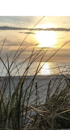 Harwichport Cape Cod vacation rental - Walk to Bank St. Beach