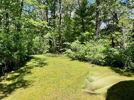 Harwich Cape Cod vacation rental - Nice yard