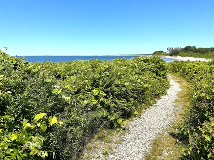 Falmouth Cape Cod vacation rental - Your path to the beach :)