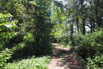 South Dennis Cape Cod vacation rental - 