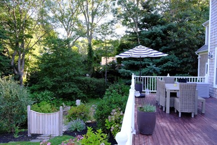 Cotuit, Barnstable Cape Cod vacation rental - Deck overlooks the lush backyard! Lower yard offers a firepit.