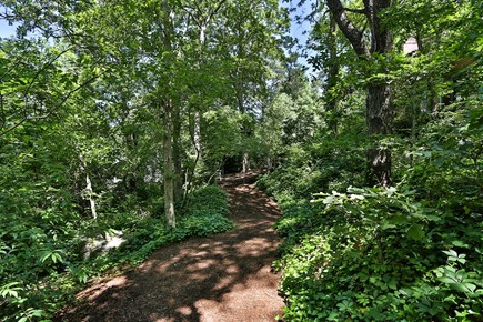 East Dennis/West Brewster Cape Cod vacation rental - Path through through the woods