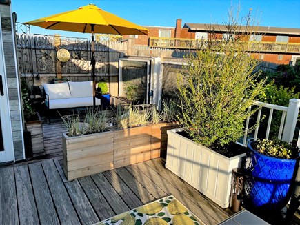 Provincetown Cape Cod vacation rental - 