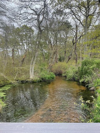 East Falmouth Cape Cod vacation rental - Coonamesset River