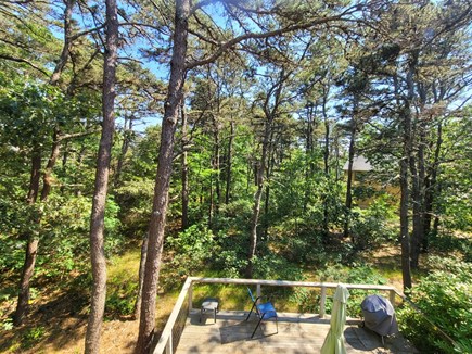 Wellfleet Cape Cod vacation rental - Backyard