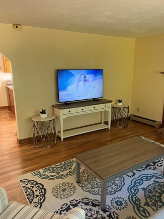 Dennis Cape Cod vacation rental - Tv