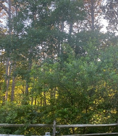 Ocean Edge Cape Cod vacation rental - View from back patio at sunset.