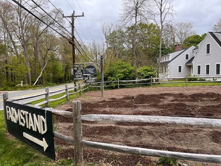 Barnstable Cape Cod vacation rental - Located on a farm