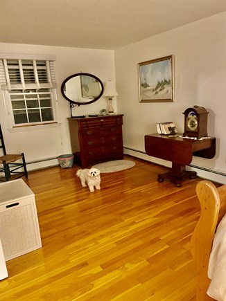 South Chatham Cape Cod vacation rental - Second floor bedroom continued- dog not included:)