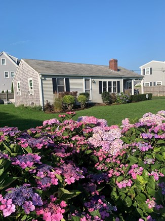 West Dennis Cape Cod vacation rental - Beach is a walk away