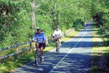 South Wellfleet Cape Cod vacation rental - Bike Path