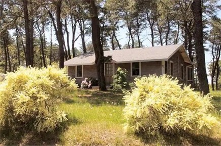 South Wellfleet Cape Cod vacation rental - View from Atlantic Ave