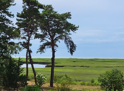 Eastham Cape Cod vacation rental - Marsh looking onto Boat Meadow