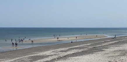 Sandwich Cape Cod vacation rental - Sandbars are the best part of our beach!