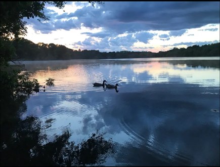 Barnstable Cape Cod vacation rental - Another gorgeous evening at the lakeside