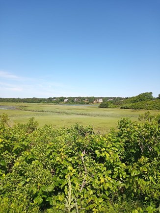 South Chatham Cape Cod vacation rental - Salt marshes on way to Cocklecove Beach.