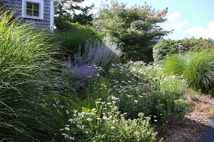 South Chatham Cape Cod vacation rental - Lovely landscaping.