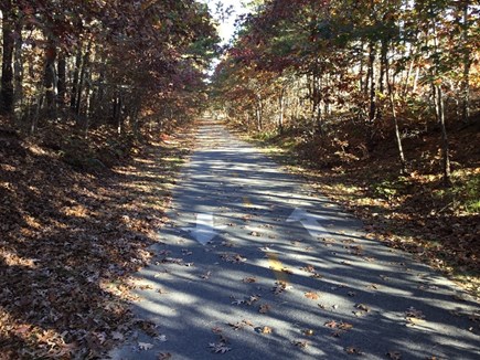 Eastham Cape Cod vacation rental - Cape Cod Rail Trail - bike path