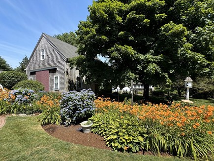 Brewster Cape Cod vacation rental - Gardens in full bloom, tree swing under the maple and hot shower!