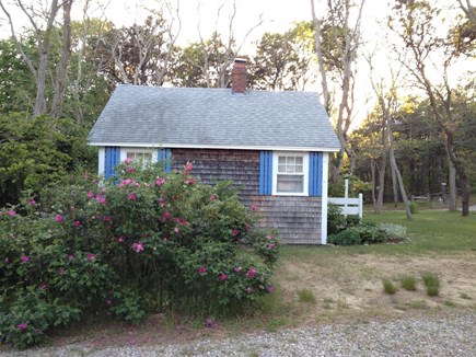 Wellfleet Cape Cod vacation rental - Side of cottage