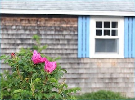 Wellfleet Cape Cod vacation rental - Side of cottage