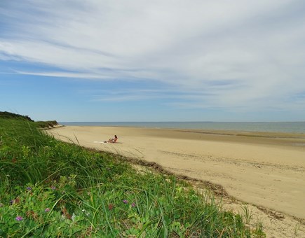 Wellfleet Cape Cod vacation rental - Beautiful area for walks to water, nature abounds 