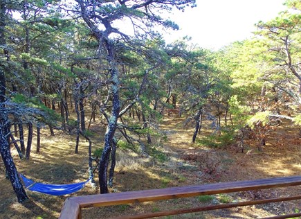 Wellfleet Cape Cod vacation rental - Expansive back deck that overlooks private yard 