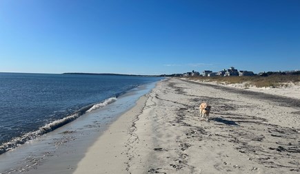 West Yarmouth Cape Cod vacation rental - Seagal Beach