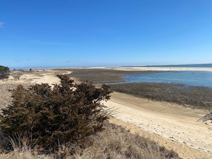 Chatham Cape Cod vacation rental - Walking paths from private beach