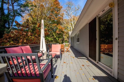 Falmouth Cape Cod vacation rental - Lounge in the sun