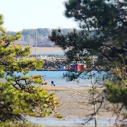 Wellfleet, Pine Point Cape Cod vacation rental - View from Deck_Clamming
