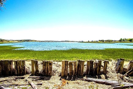 Wellfleet, Pine Point Cape Cod vacation rental - Front Lawn ends at the water (low tide)