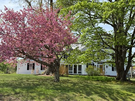 Dennis Cape Cod vacation rental - 