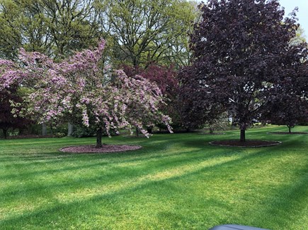 Yarmouthport Cape Cod vacation rental - Spring front yard