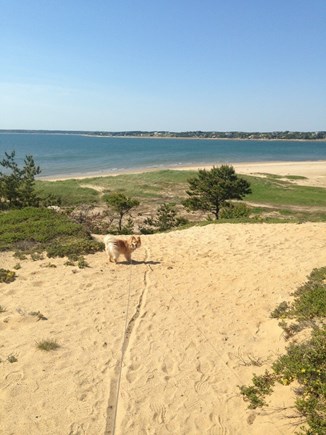 Wellfleet Cape Cod vacation rental - Top of path down dune to beach