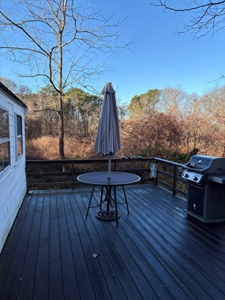 Brewster Cape Cod vacation rental - Back porch, very private, outdoor shower