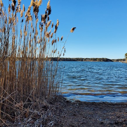 Dennis, 23 Clipper Lane Cape Cod vacation rental - Swan Pond