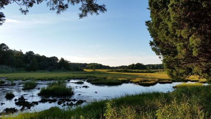 Eastham Cape Cod vacation rental - Enjoy the serenity of the scenic marsh