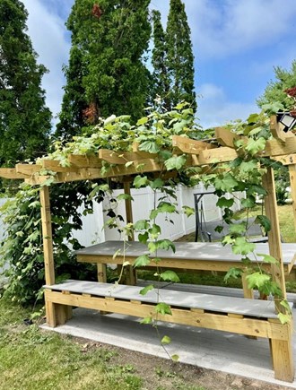 East Falmouth Cape Cod vacation rental - Pergola with custom table/2 benches covered in grape vines