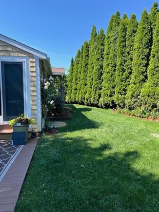 Provincetown Cape Cod vacation rental - Yard in daytime sun