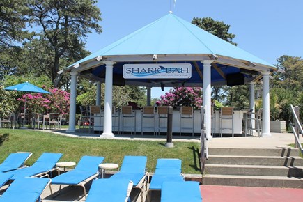 Brewster, BNEHJ Cape Cod vacation rental - The Shark 'Bah' at the Arbor Pool