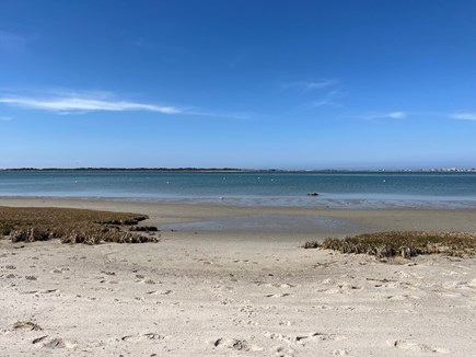 Barnstable Village Cape Cod vacation rental - Steps to this beautiful beach