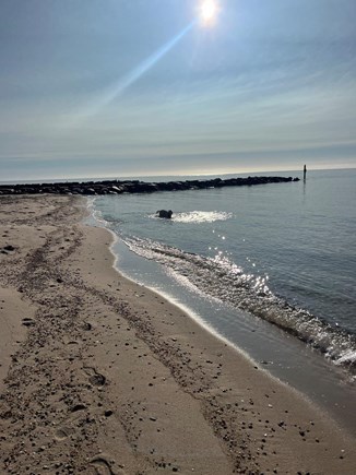 Falmouth Cape Cod vacation rental - Walk to Acapesket Beach-Private association