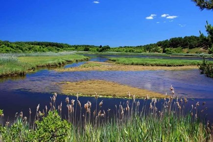 Chequessett Village, Wellfleet Cape Cod vacation rental - The marsh